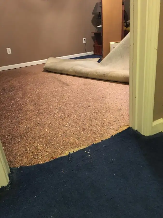 Carpet pad removal revealing water damage during Water Mitigation Services in Moyock