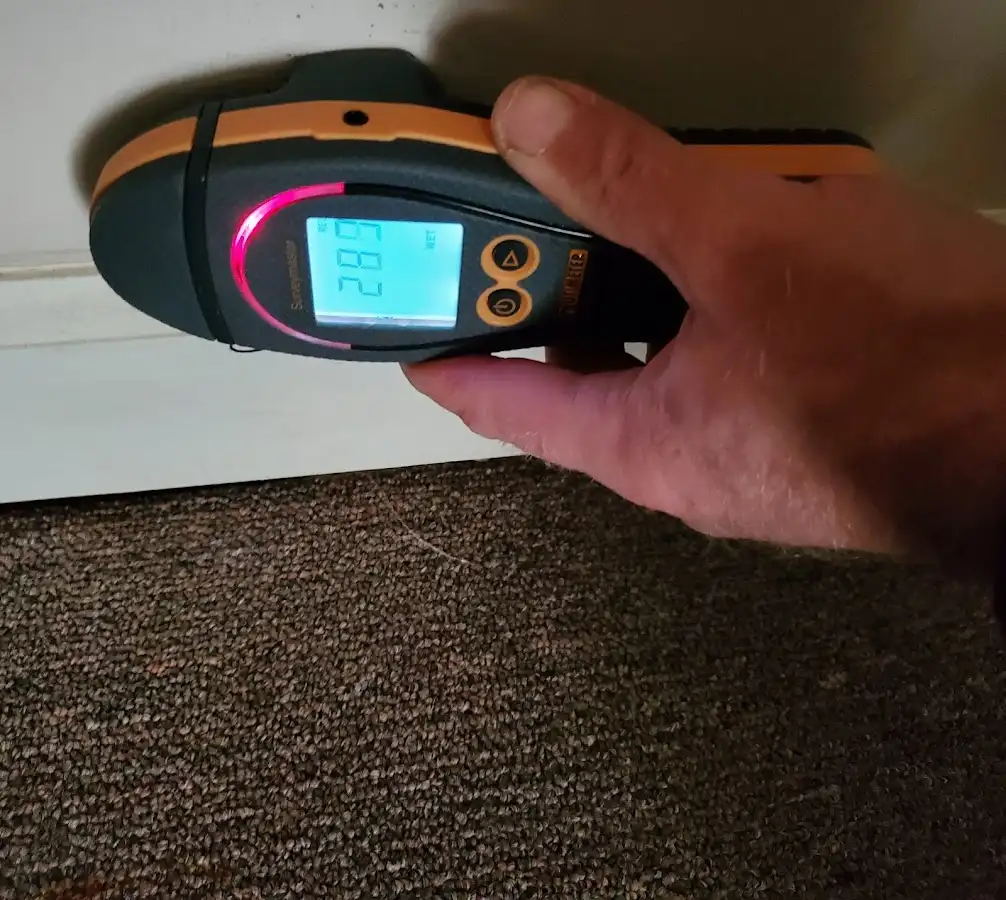 Moisture detection at baseboard during Sewage Cleanup & Sanitation in Moyock